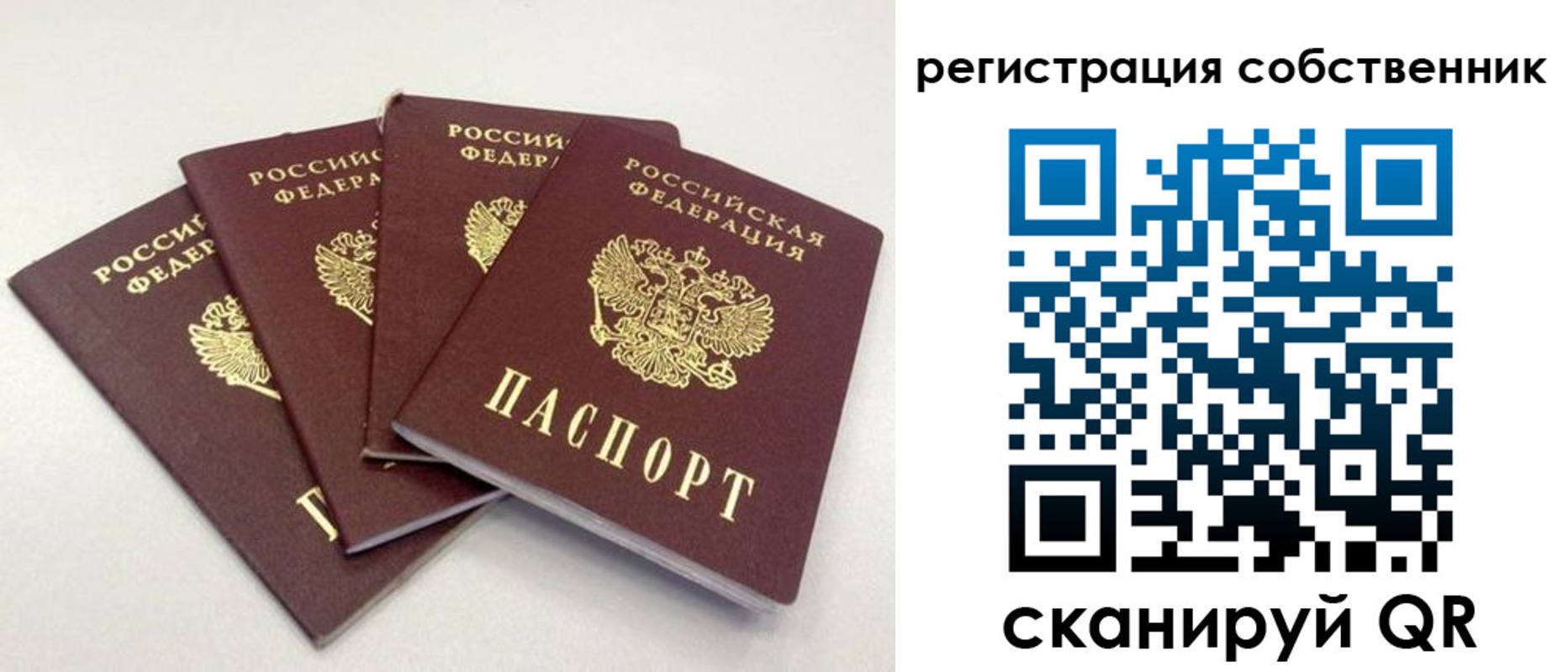 прописка для школы в Батайске